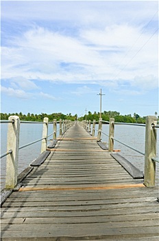 soi cau 3g