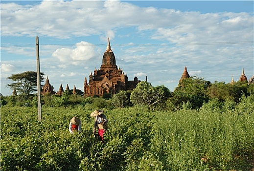 xsmb soi cau mien phi