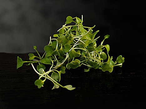 thống kê xổ số đồng tháp