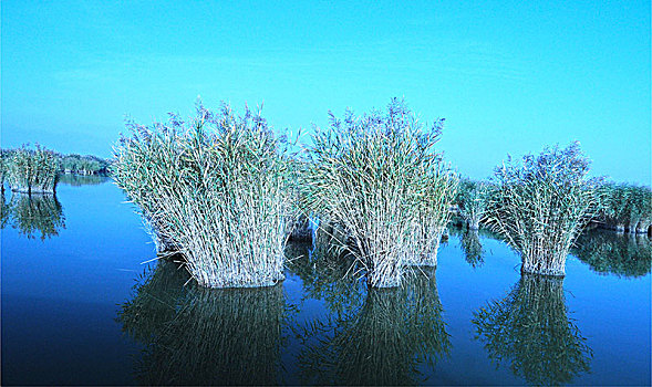 lo đề 88