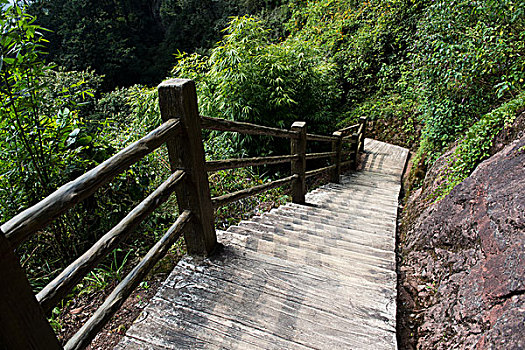 tỷ lệ ăn 3 càng