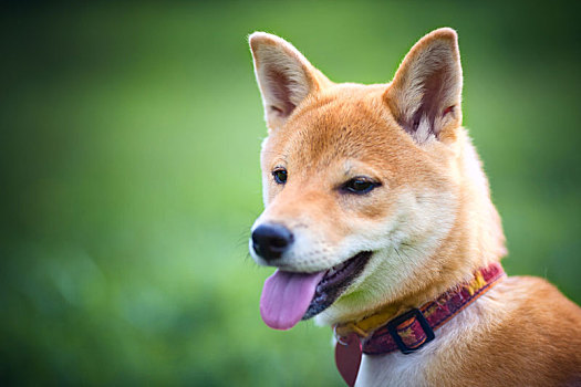 lô chuẩn miền bắc