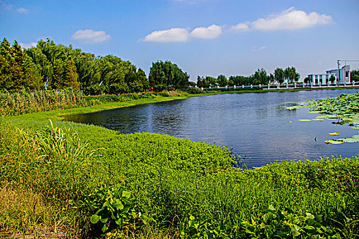 nhà đất móng cái quảng ninh