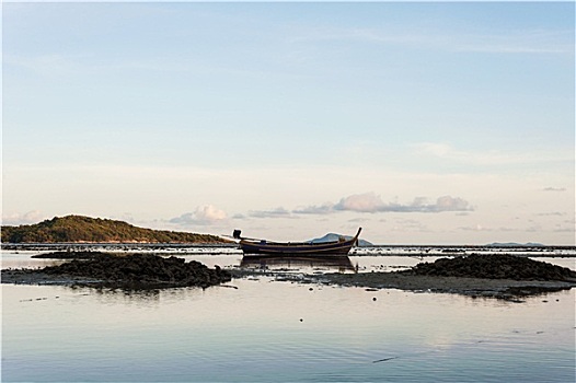 ban xuong ca hoi