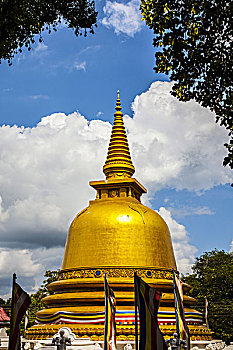 dự đoán xỉu chủ