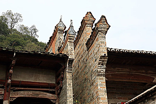 soi cau bach thu