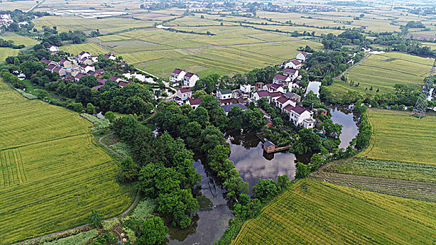 soi cau xo so 568