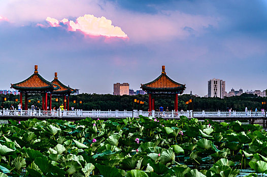 soi cầu 288