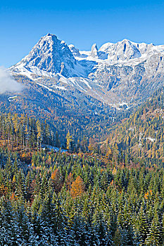 soi cau rong bach kim 2 nhay