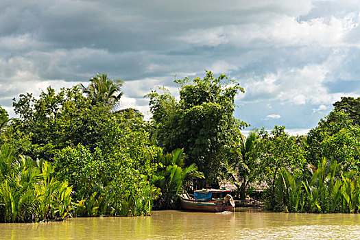 mjsa soi cau