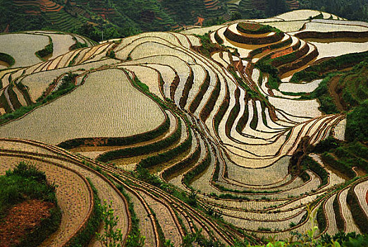 dự đoán kết quả xổ số tây ninh