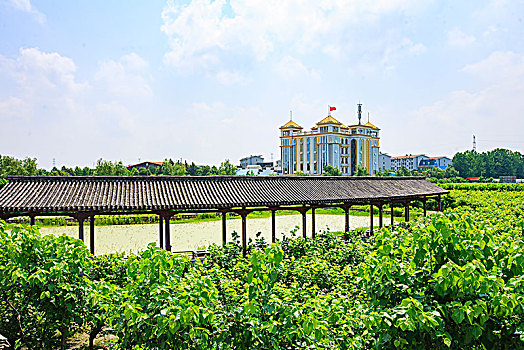 kết quả xổ số miền bắc ngày