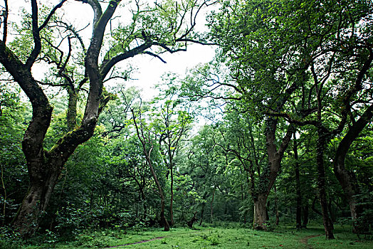 du doan than tai mn
