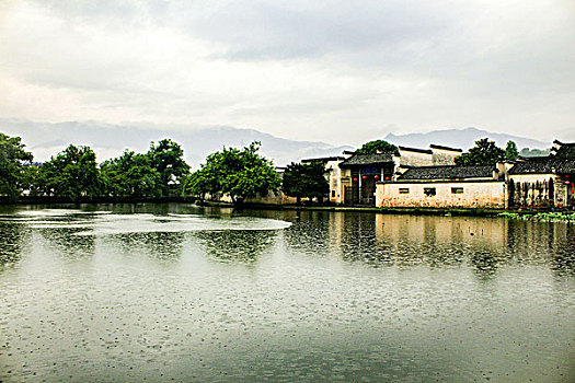 soi cau thu do