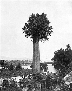 xổ số miền nam chủ nhật