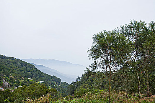 soi cau mb chinh xac 100
