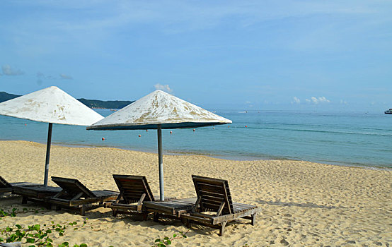 bạch thủ hôm nay