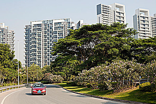 soi cầu kép