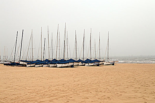 xs nam