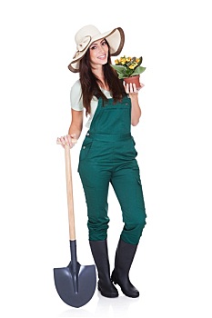 soi cầu lô đề miền bắc miễn phí