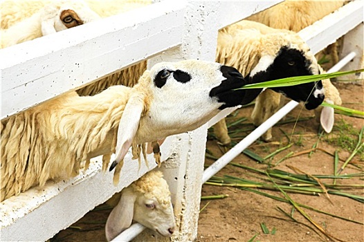 xsmb hàng ngày