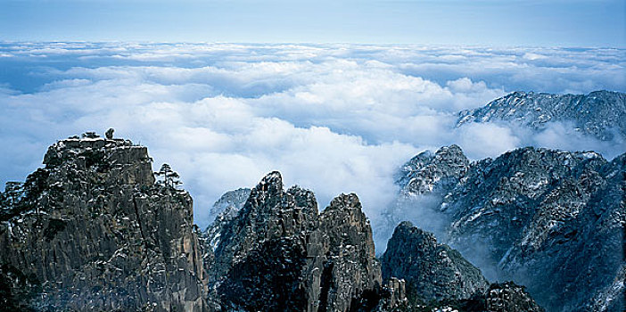 cau lo bach thu khung 5 ngay