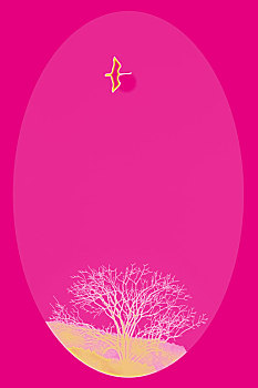 xổ số đài thành phố