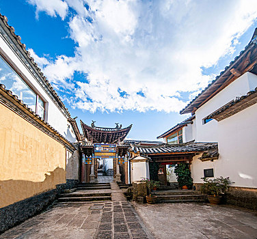 rong bach kim mien bac