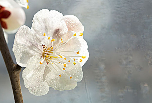 xổ số hom nay
