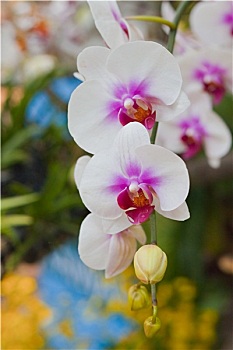 dự đoán xổ số ba miền hôm nay
