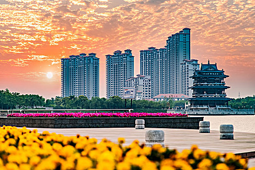 bạch thủ lô khung 5 ngày