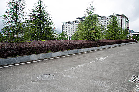 soi cau lo bach thu