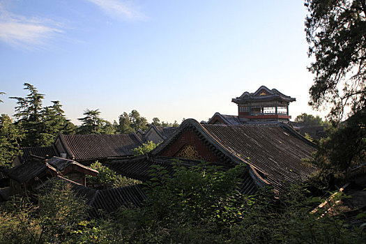 soi cau bach thu 247