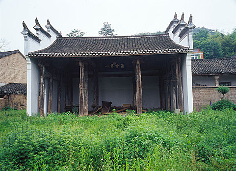 soi cau 3 cang ngay hom nay