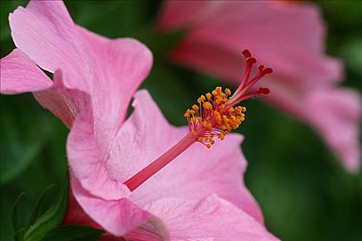 xổ số quảng trị hôm nay