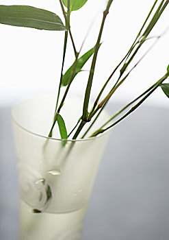 cách đánh xỉu chủ miền nam