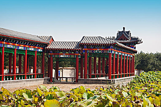 xổ số kiến thiết tỉnh vĩnh long