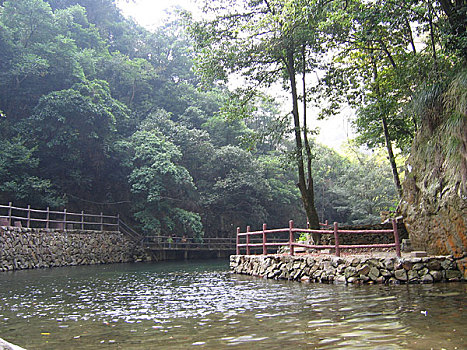 bạch thủ đề chuẩn