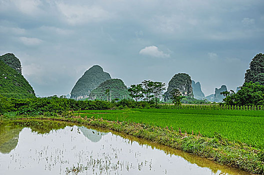 cái số đề