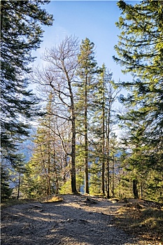 lo bach thu khung 3