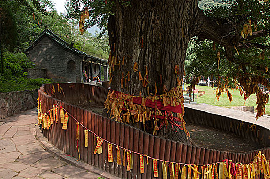 xổ số bạch thủ