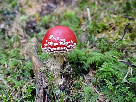 du doan xsmb thu 7