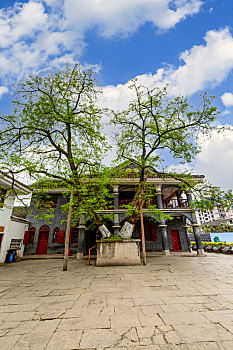 soi cau lô bạch thủ