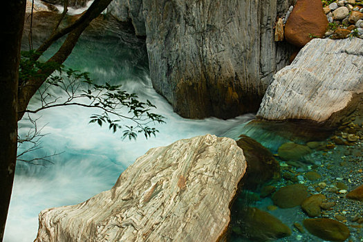 bạch thủ đề ngày hôm nay