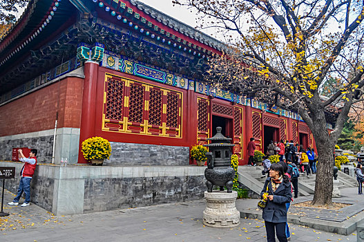 số đề trực tuyến