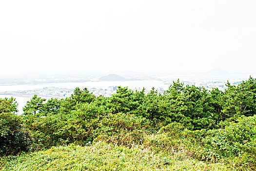 xs tay ninh hom nay
