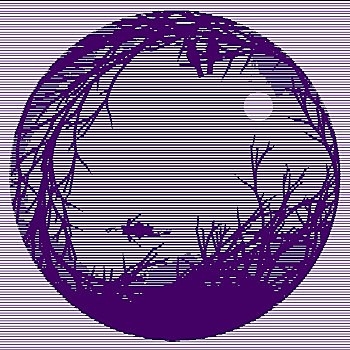 xs t2