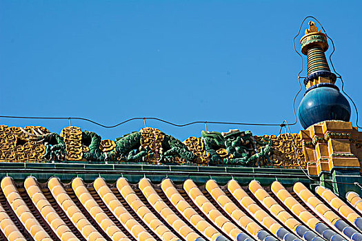 soi cau 6116