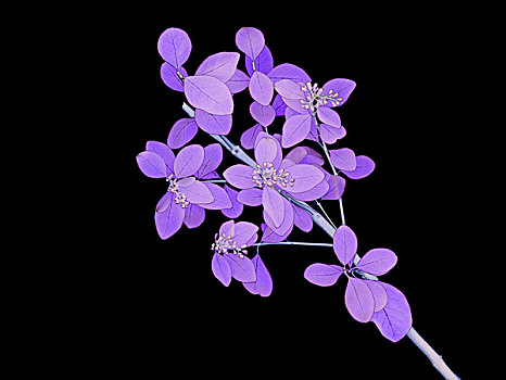 xskt miền bắc
