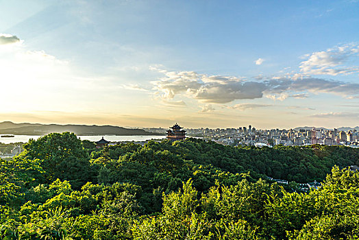 bạch thủ lô miễn phí